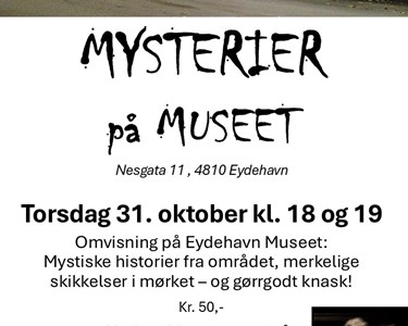 Mysterier på Museet Plakat