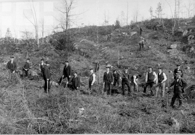 Skogplanting på Langstveit i Holt