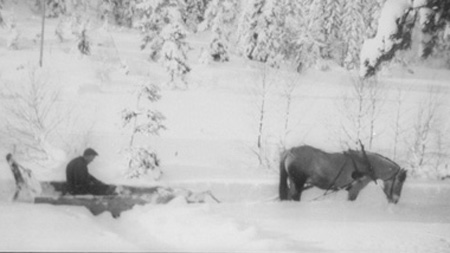 snøbrøting med hest